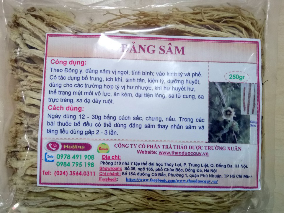đẳng sâm